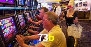 73b