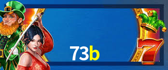 73b App Interface