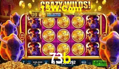 Flash Promotion 73b