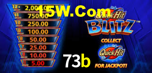 73b