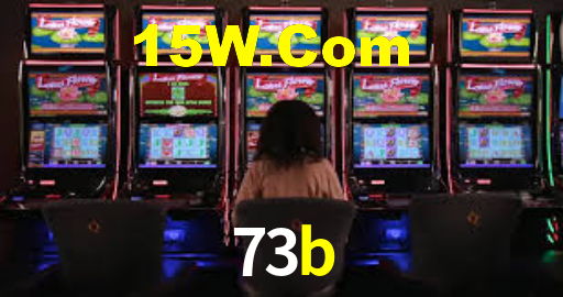 73b.com